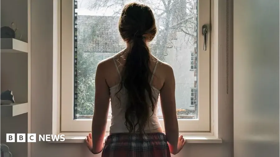 Mental health review head rejects snowflake label