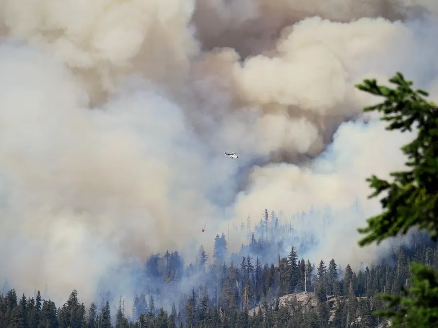 Yosemite National Park news