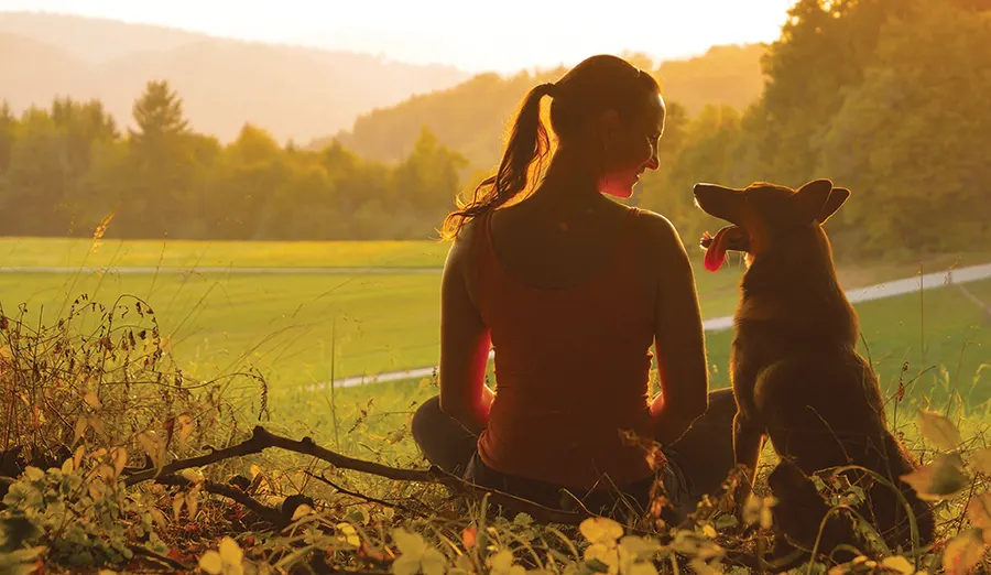 Autumn equinox arrives