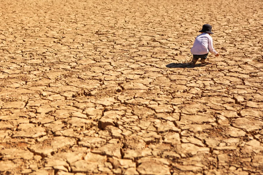 厄尔尼诺天气引发的死亡