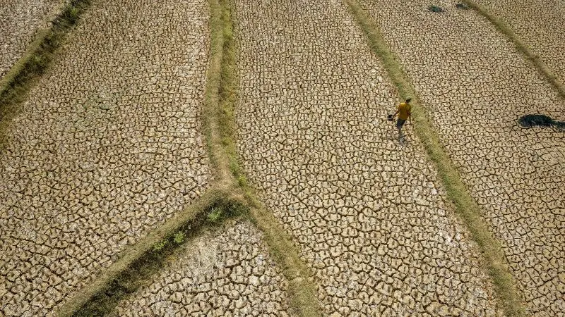 El Niño projected to cause 450,000 deaths by February