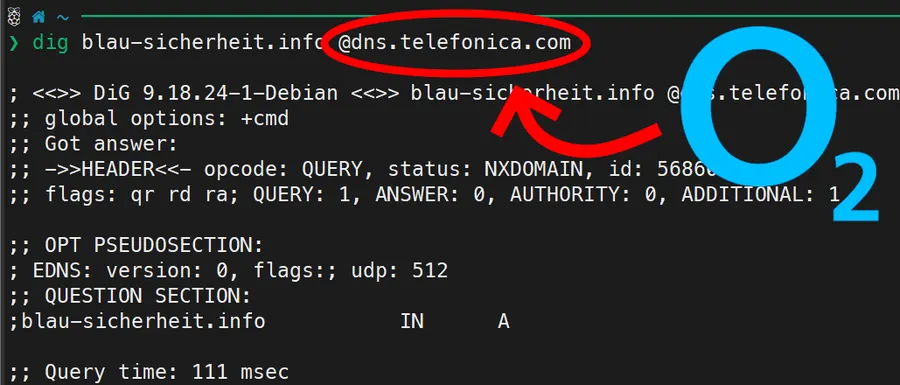 German ISP tampered with DNS to sabotage website