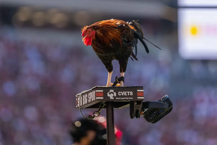 South Carolina vs Alabama matchup