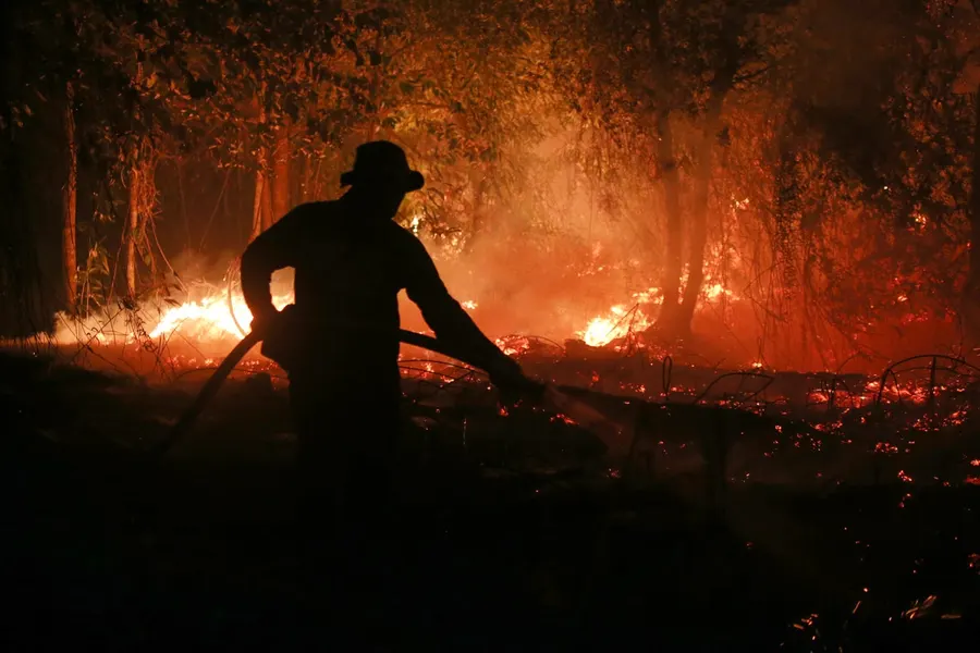 Super El Niño heat could kill 500,000 by February