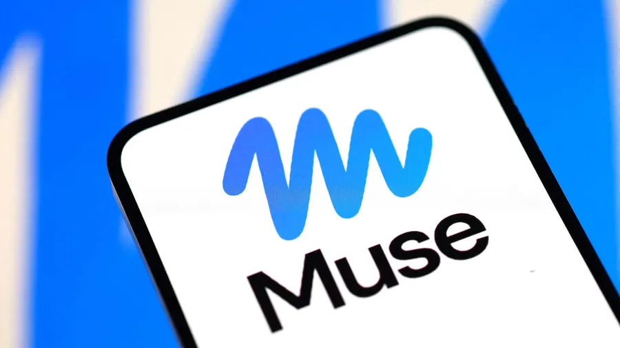 Meta Muse privacy concerns