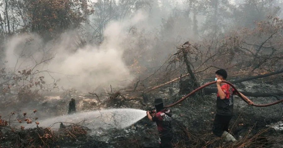 Indonesia fire haze health toll