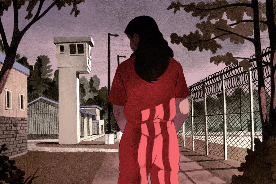 ICE detains domestic abuse survivors