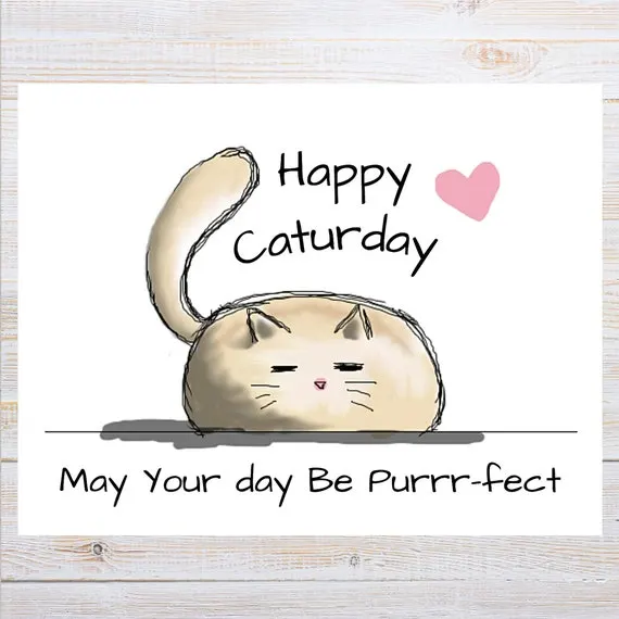 Caturday posts across Instagram, Facebook and Reddit invite users to share cat photos