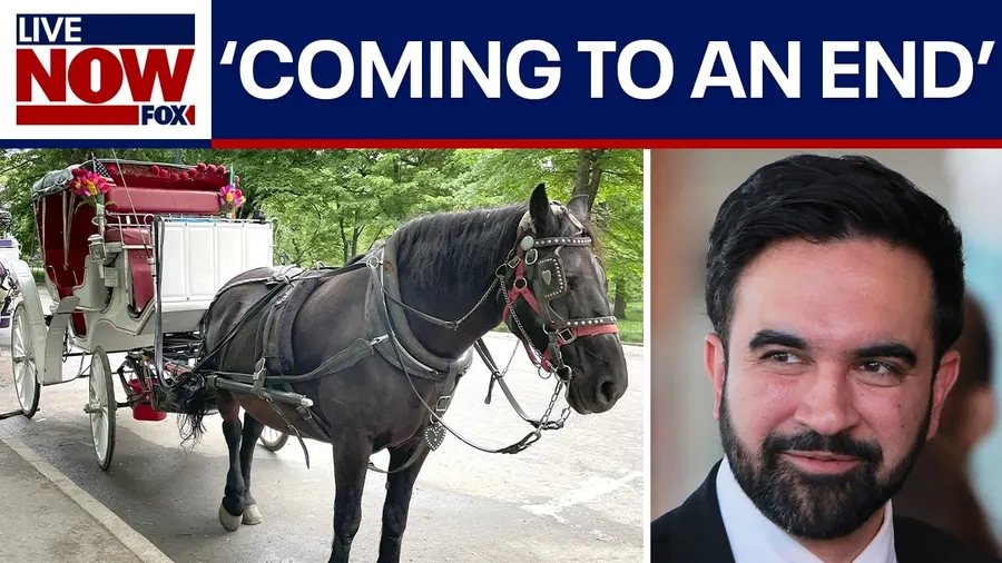 Mamdani pushes NYC horse carriage ban