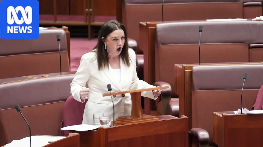 Lambie condemns One Nation cartoon