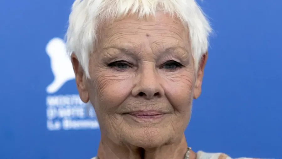 Judi Dench comments on Cats movie