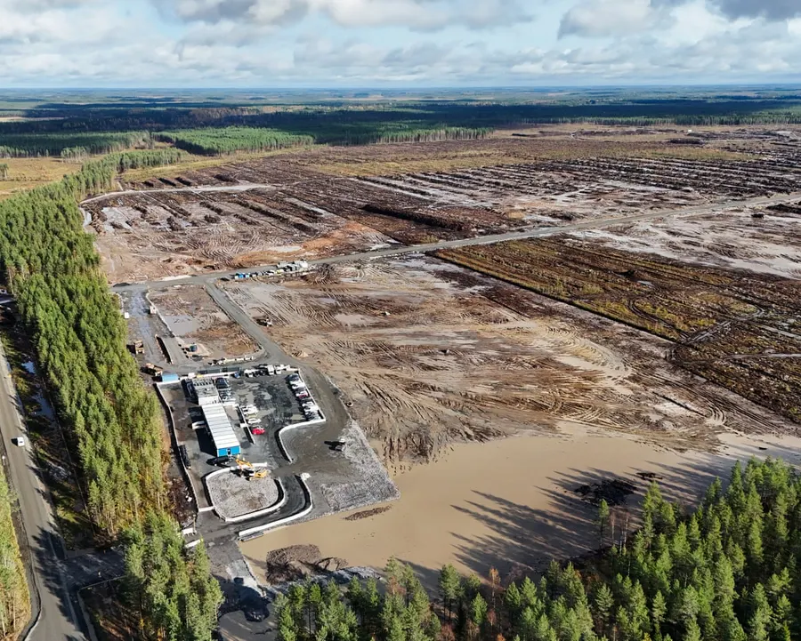 Google illegally fells 250,000 trees in Finland for datacenter