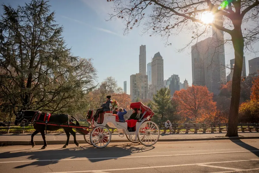 New York City to ban horse-drawn carriages in 2028