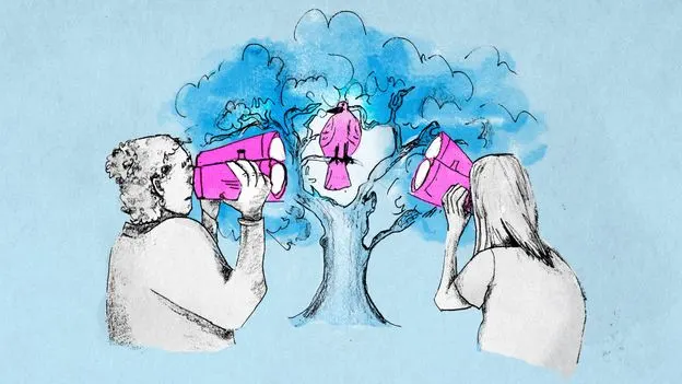 Birdwatching rewires brain, slows cognitive decline