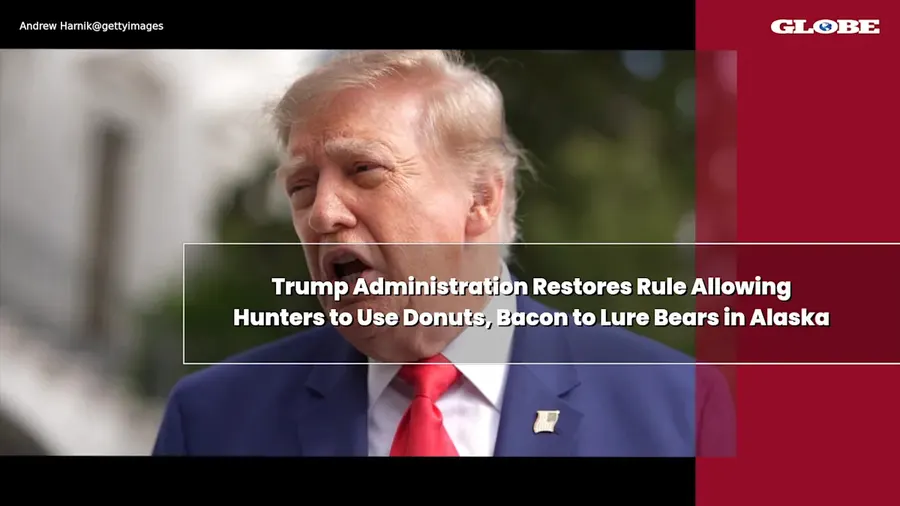 Trump rule allows baiting bears in Alaska
