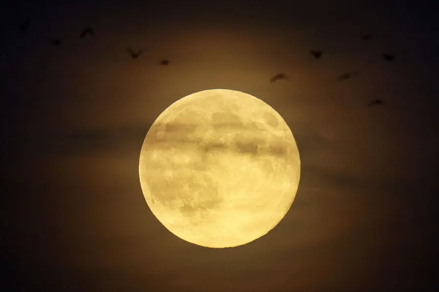 2026 Hunter's Moon peaks early Monday, final full Moon before supermoon run