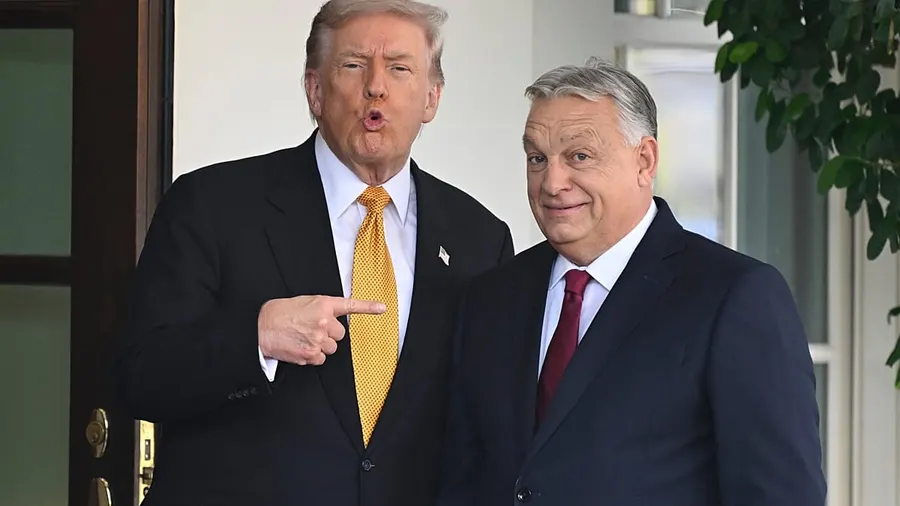 US backs Orbán UN bid