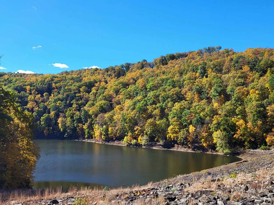 Maryland and Pennsylvania reports put fall foliage at or near peak