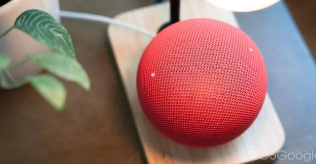 Google Home speakers download large data in background