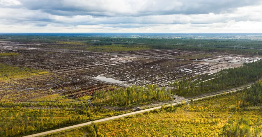 Finland probes Google data centre land clearance