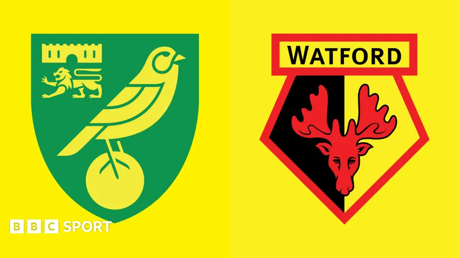 Norwich City vs Watford match