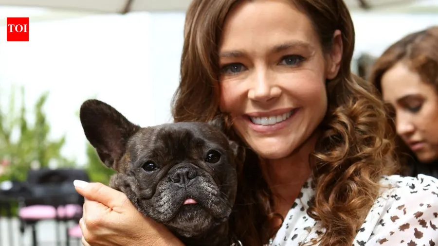 Denise Richards news
